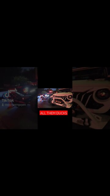 WHY HE GOT ALL THEM DUCKS IN HIS CAR? #shorts