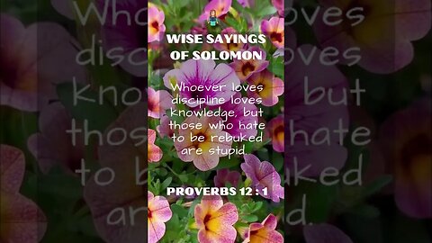Wise Sayings of Solomon | Proverbs 12:1