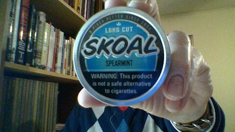 Stand Alone Product : Skoal LC Spearmint