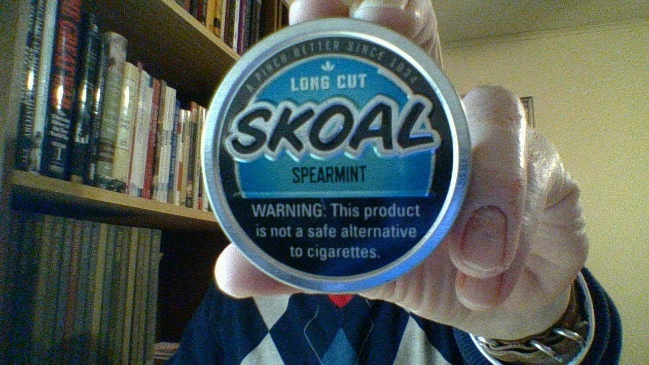 Stand Alone Product : Skoal LC Spearmint