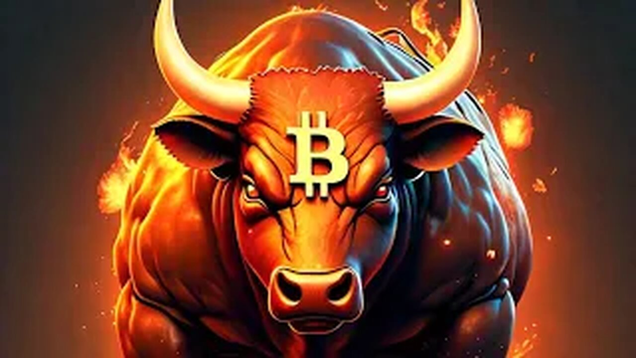 Bitcoin: What Caused The Bull to Begin Its Run