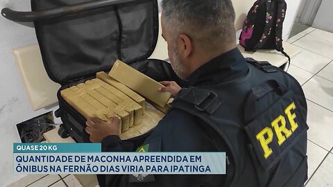 Quase 20 Kg: Quantidade de Maconha Apreendida em Ônibus na Fernão Dias viria para Ipatinga.