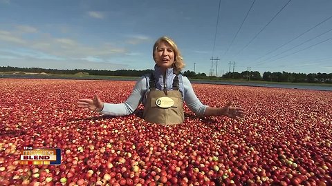 AutumnWatch