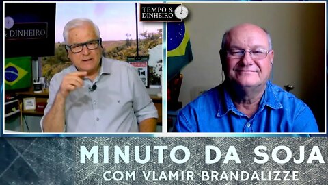 Soja na proteção em dia de Eleições nos EUA