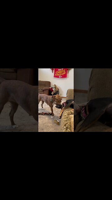 Merry Christmas everyone.