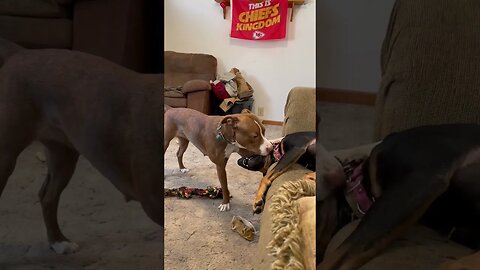 Merry Christmas everyone.