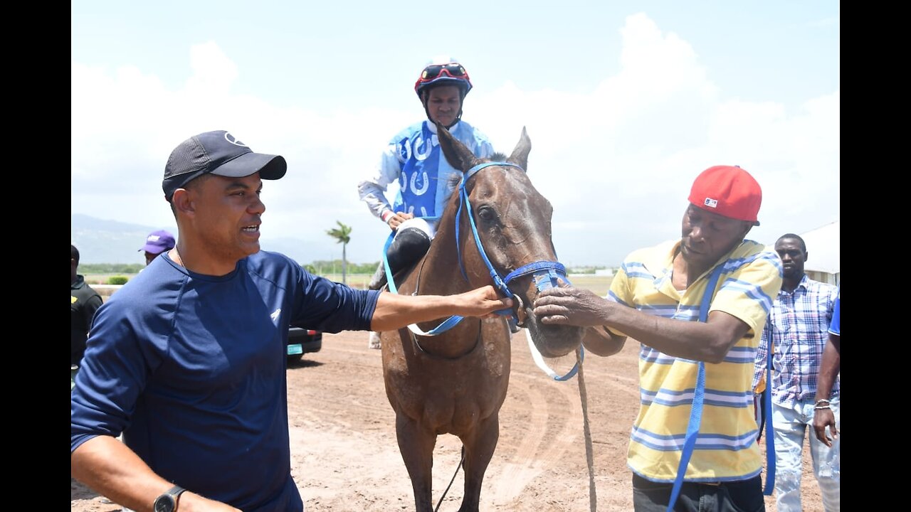 JAMAICA RACING: Crimson Easily Takes Sat, May 11, 2024, 2nd