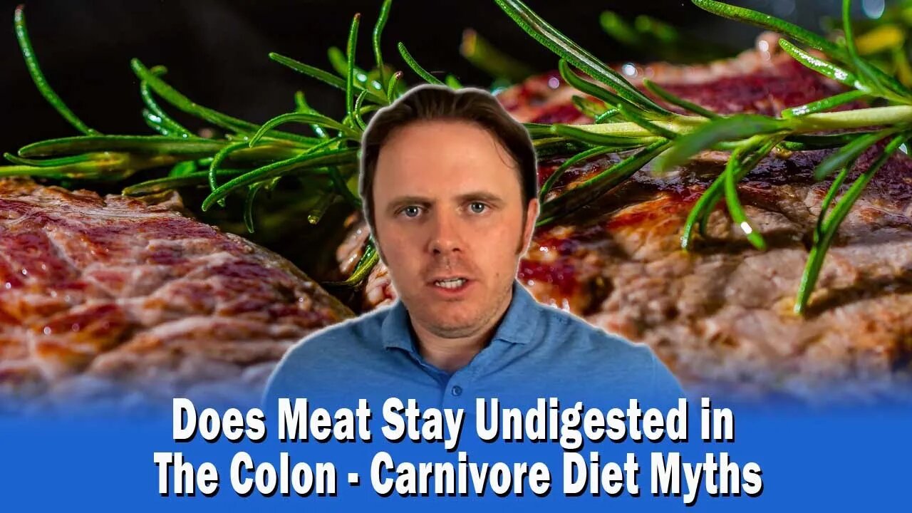 Does Meat Stay Undigested in The Colon - Carnivore Diet Myths