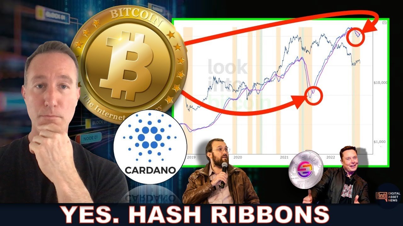 BITCOIN HASH RIBBONS SIGNAL. CARDANO VASIL GREAT NEWS. WORLD MOBILE + STARLINK.