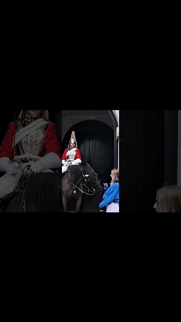 No the horse bites #horseguardsparade