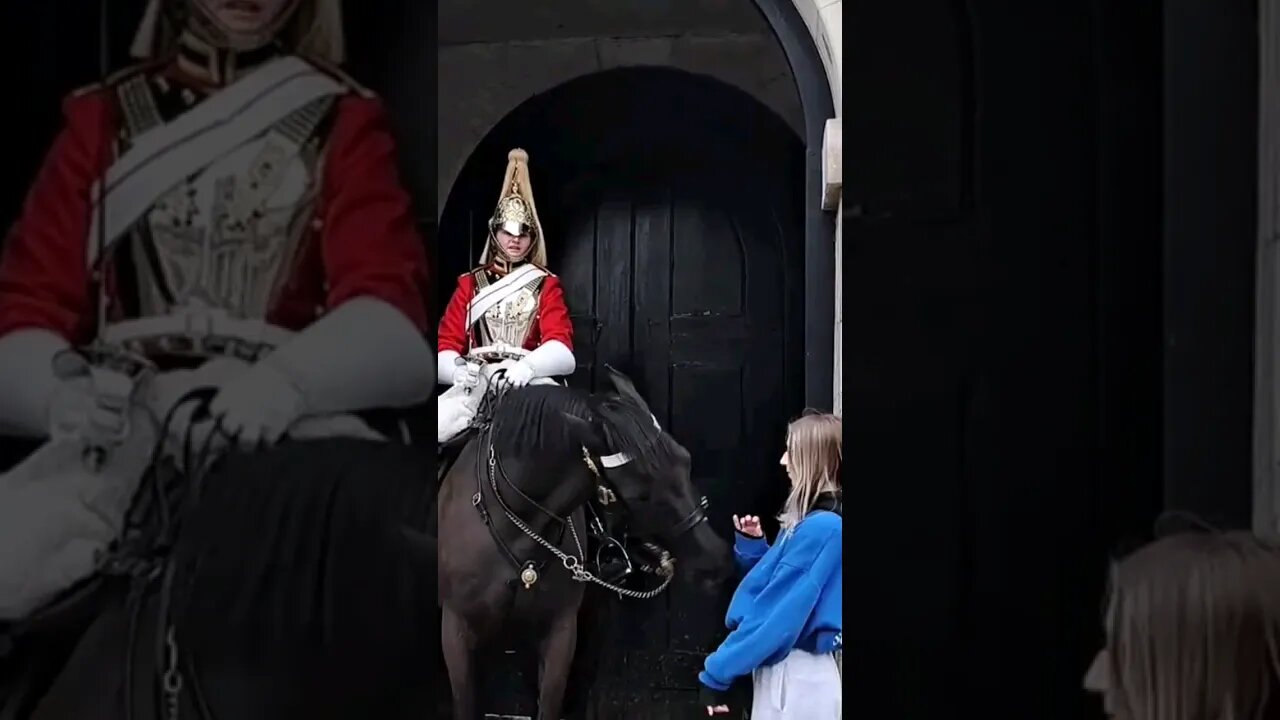 No the horse bites #horseguardsparade