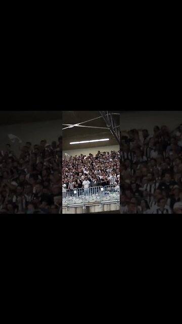 🔥👏🏼APRECIEM! SHOW DA MASSA COMPACTA ALVINEGRA NO MINEIRÃO! #botafogo #brasileirão #segueolíder