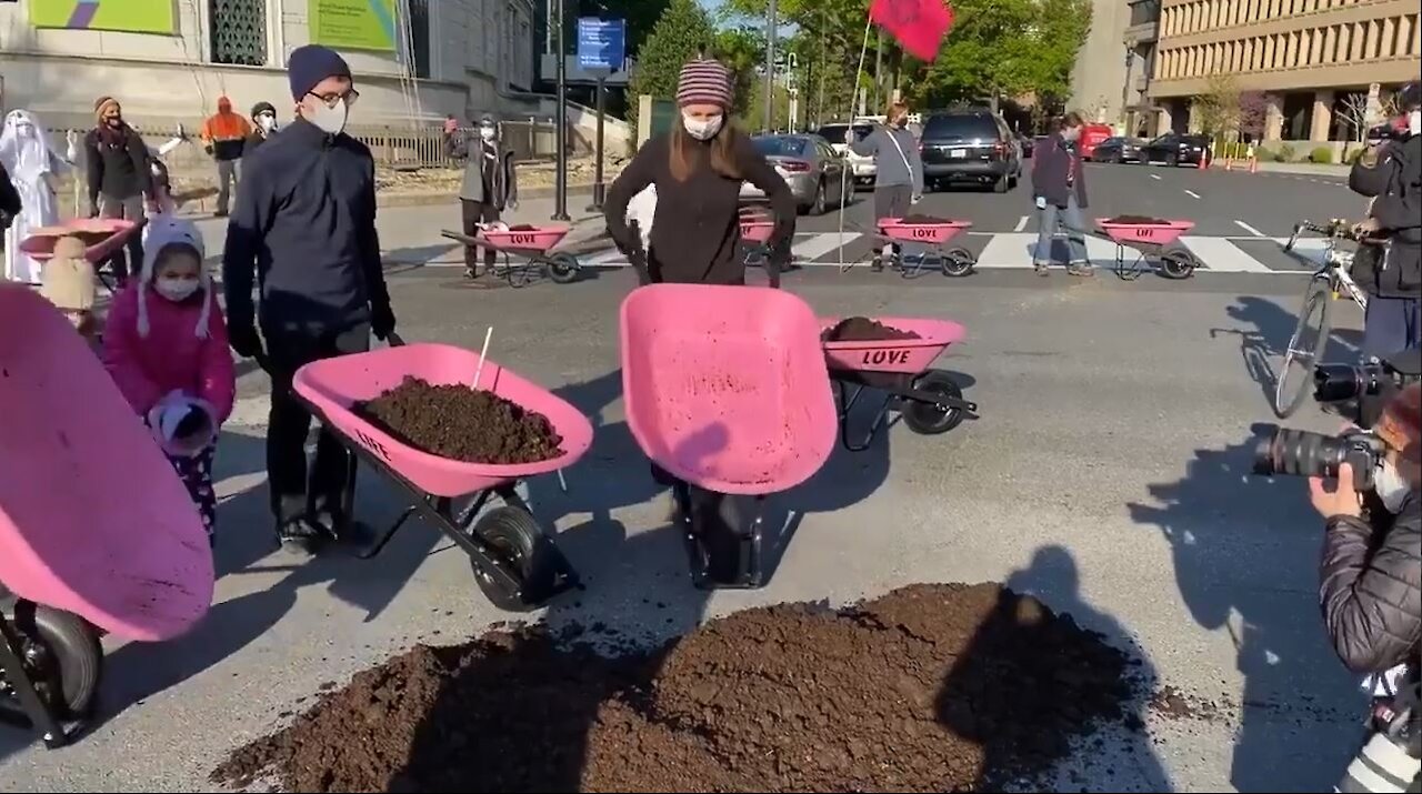 Environmentalist Protestors Dump Cow Poo in Front of White House
