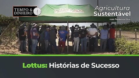 Lottus: Histórias de sucesso