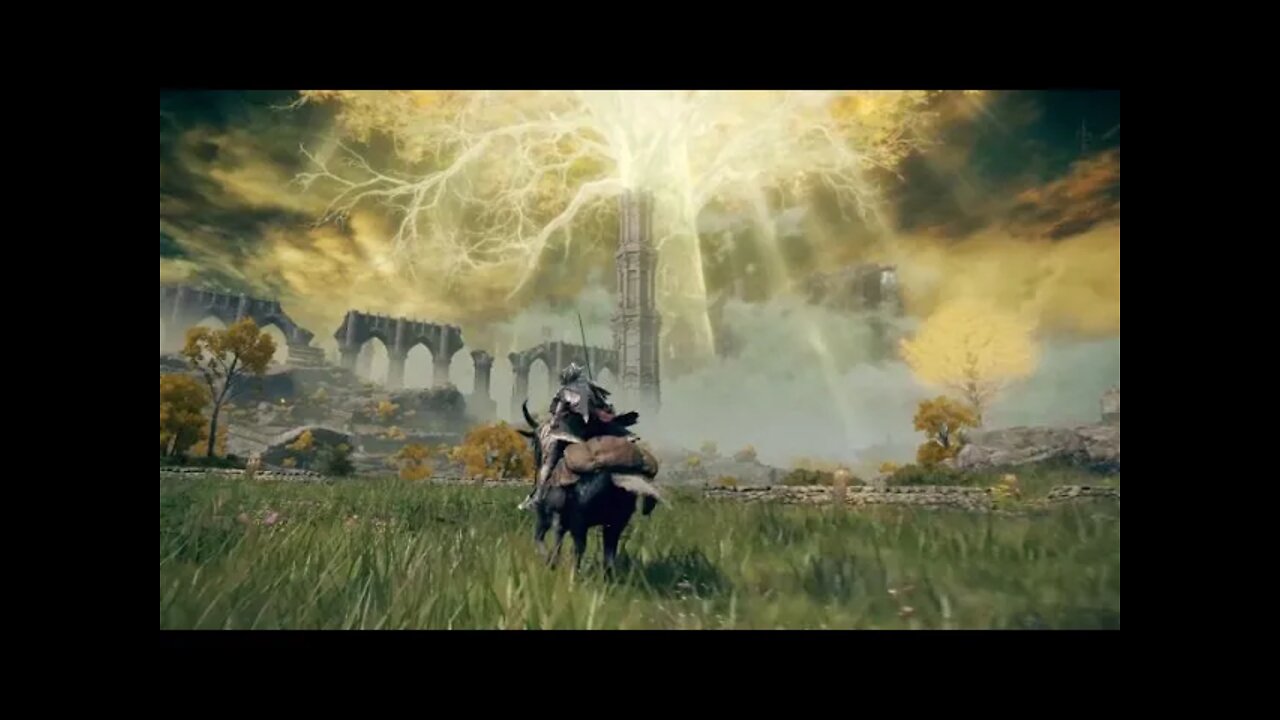 Elden Ring Warrior PoV try #2