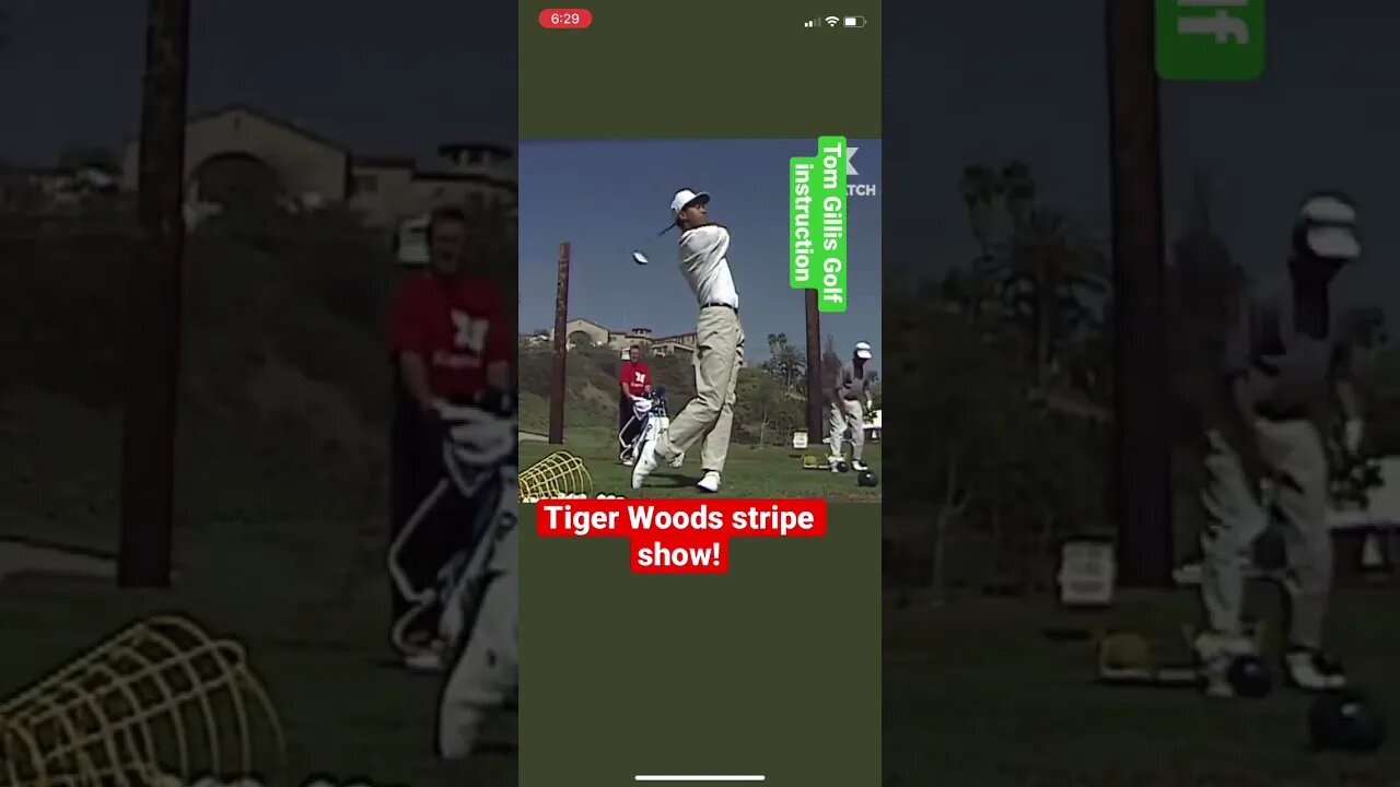 Young Tiger Woods stripe show! #tigerwoods #tomgillisgolf #golf #tpcsawgrass