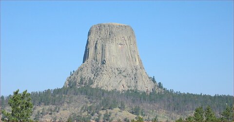 The Giant Ancient Trees Are The Volcanoes Of Today! (PROVEN)