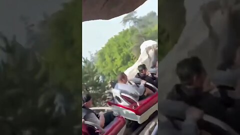 You Need A CHIROPRACTOR After Going On THIS Ride! #shorts