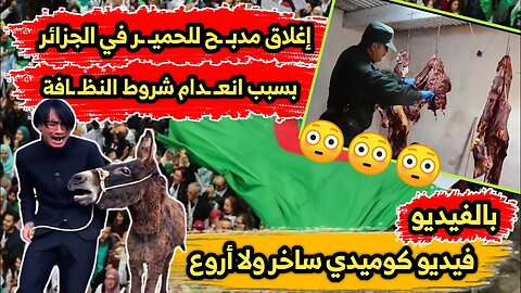 إغلاق مدبـ ـح للحميـ ـر في الجزائر | بسبب انعـ ـدام شروط النظـ ـافة