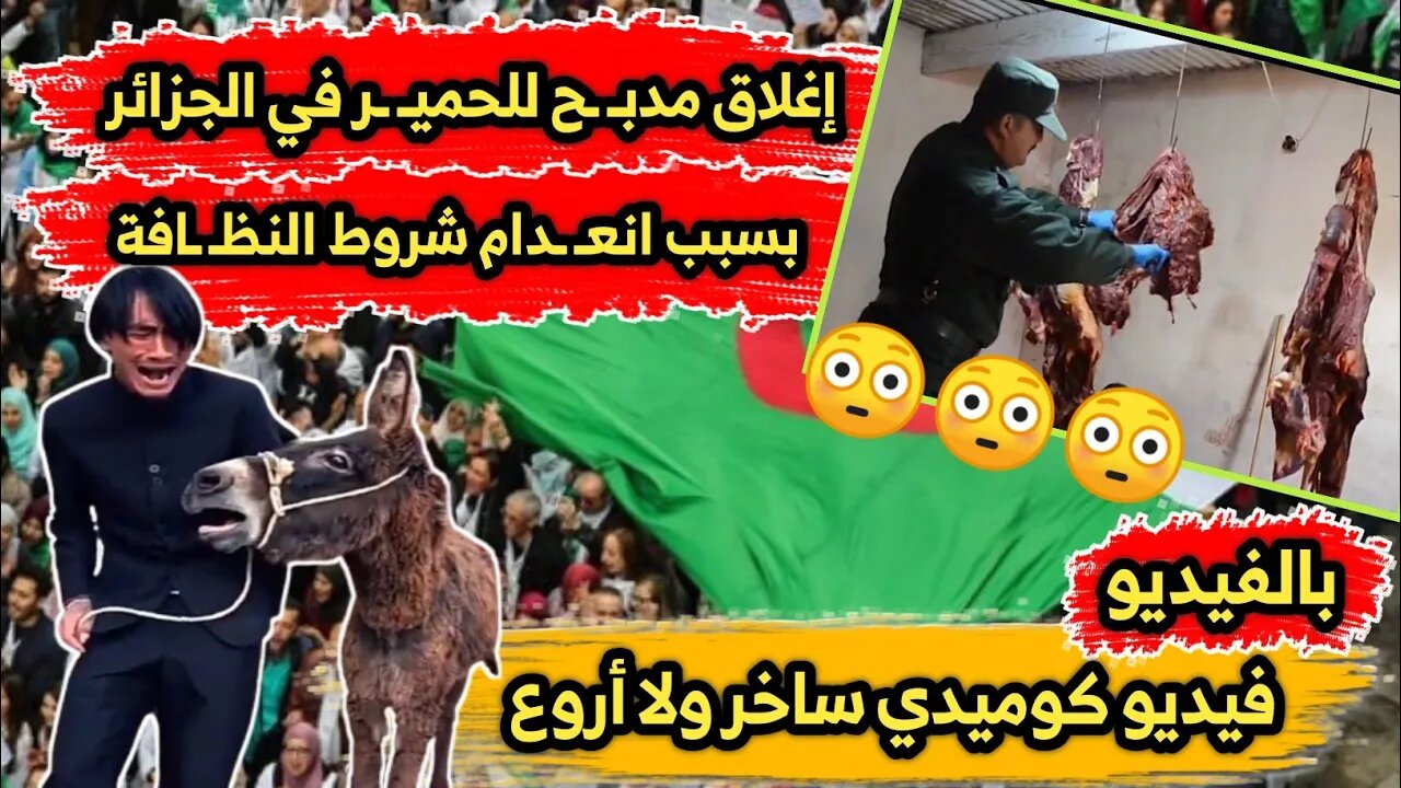 إغلاق مدبـ ـح للحميـ ـر في الجزائر | بسبب انعـ ـدام شروط النظـ ـافة