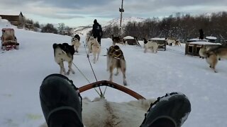 Carl Byington Dog Sledding in Norway 3