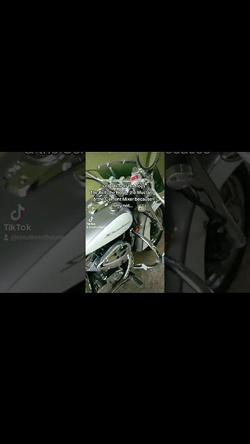 Smooth Operator #biker #bike #mustang #rider #mountain #dog #speed