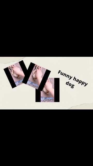 Funny dog make you Happy