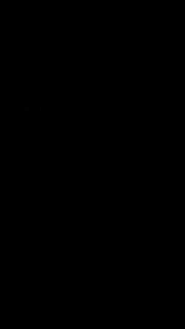 Unique physical features