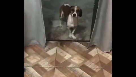 ELE NAO SE AGUENTA #memes #viral #tiktok #rir #comedia #top #fyp #shortsvideo