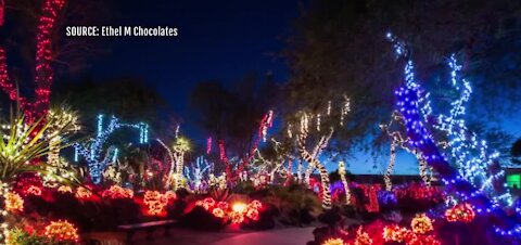 Ethel M's Valentine's light display