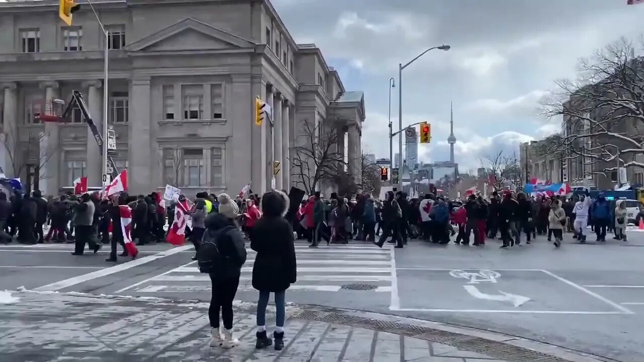 🇨🇦TORONTO STRONG 🇨🇦 *THE FIGHT FOR FREEDOM**