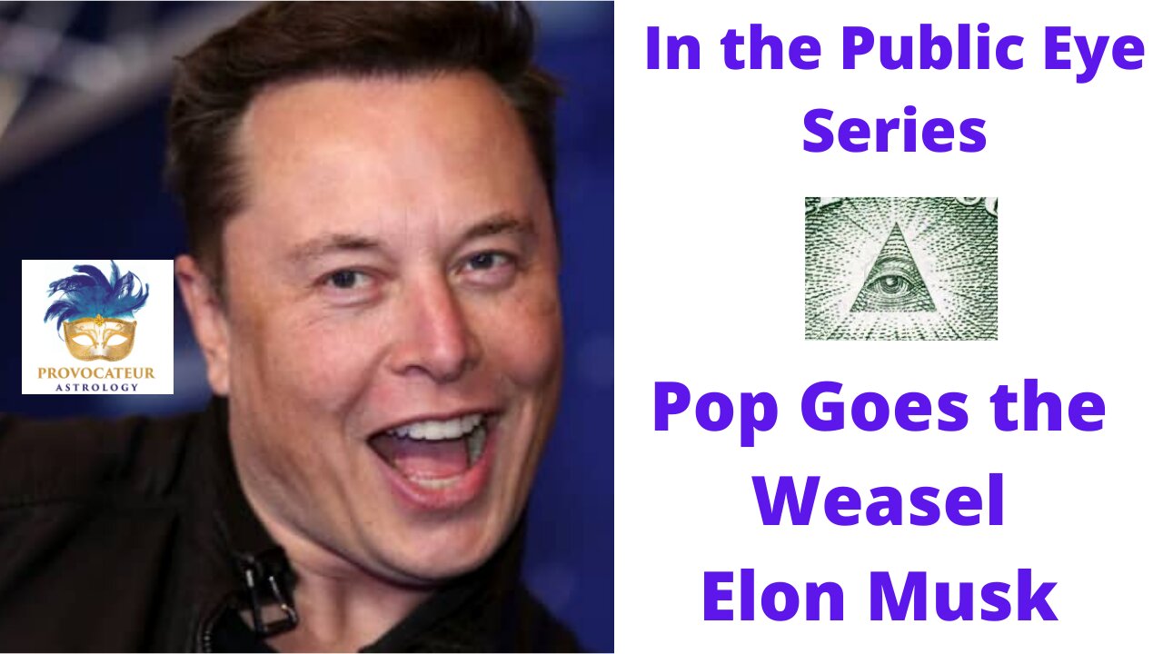 In the Public Eye Series - Pop Goes the Weasel Elon Musk