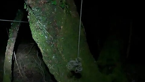 night time under a tarp . speedlapse. GoPro 23rd March 2023