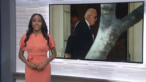 Biden Announces He's Running for a Second Term