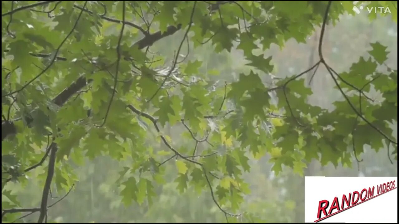 calm your mind by rain sound