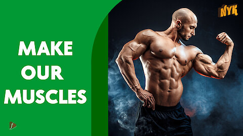 How Does The Muscle Grow *