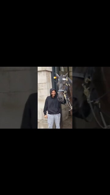 grabbing the reins in the rain #horseguardsparade