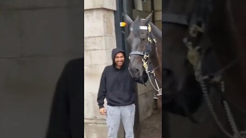 grabbing the reins in the rain #horseguardsparade