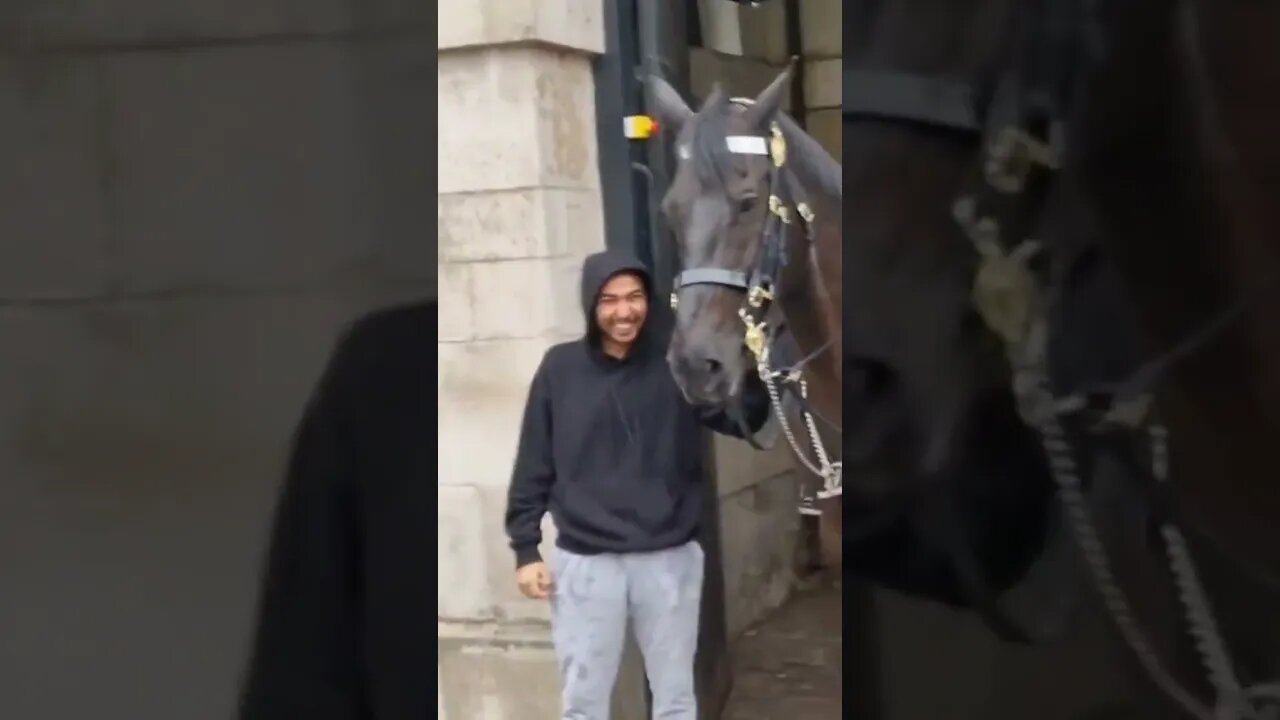 grabbing the reins in the rain #horseguardsparade