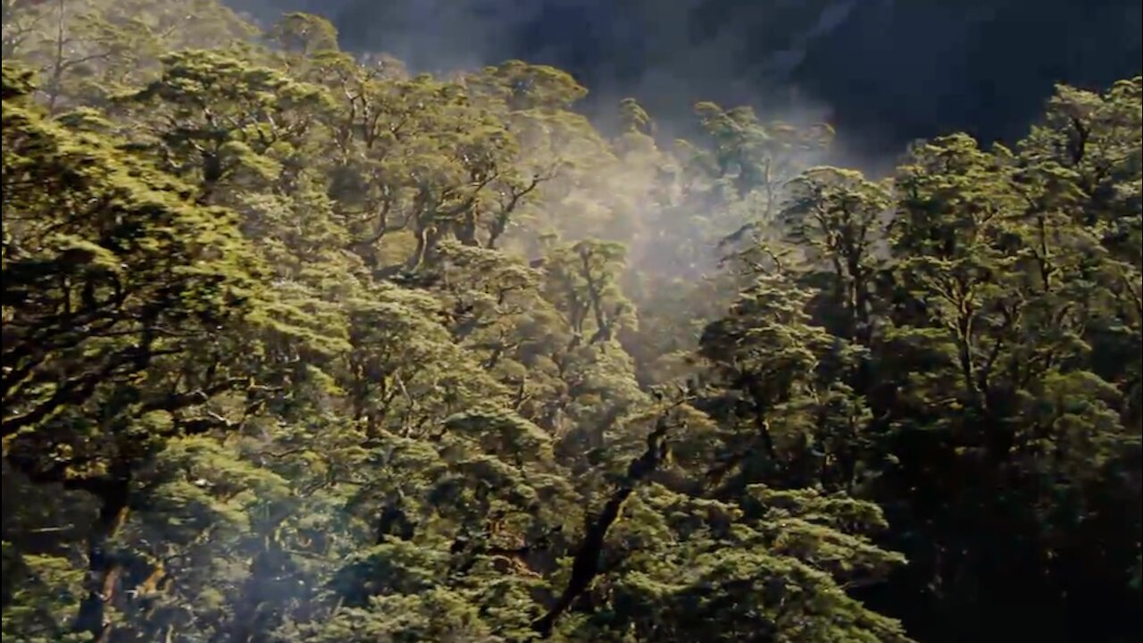ANTHROPOGENIC WARMING (MAN MADE WARMING)