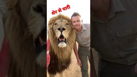 🦁 Short video, 🐅 video, शेर से यारी