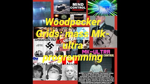 Woodpecker-Grids: Mass Mk Ultra Trauma Based Mind Control