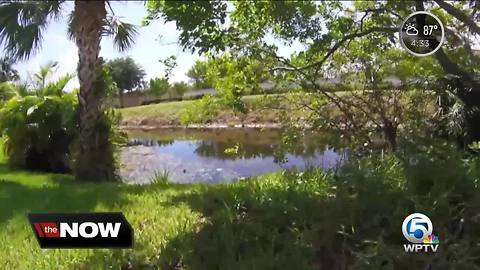 Boynton Beach neighborhood on edge after allegedly python sightings