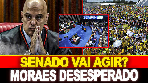 DECLARAÇÃO VEM À TONA NO BRASIL... SENADO VAI AGIR?? MORAES DESESPERADO !!