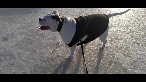 famke on the ice at Mirnster cliff