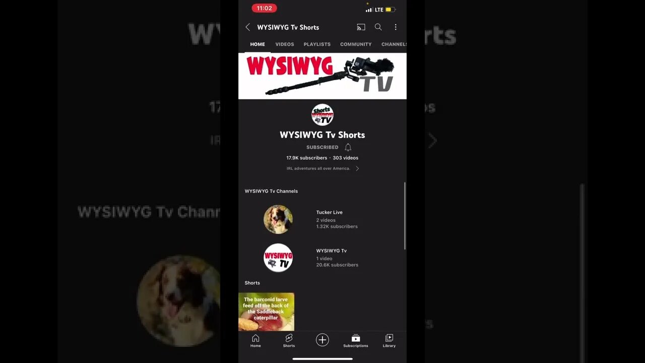 Where in the world is @WYSIWYG Tv Shorts maybe Twitch?
