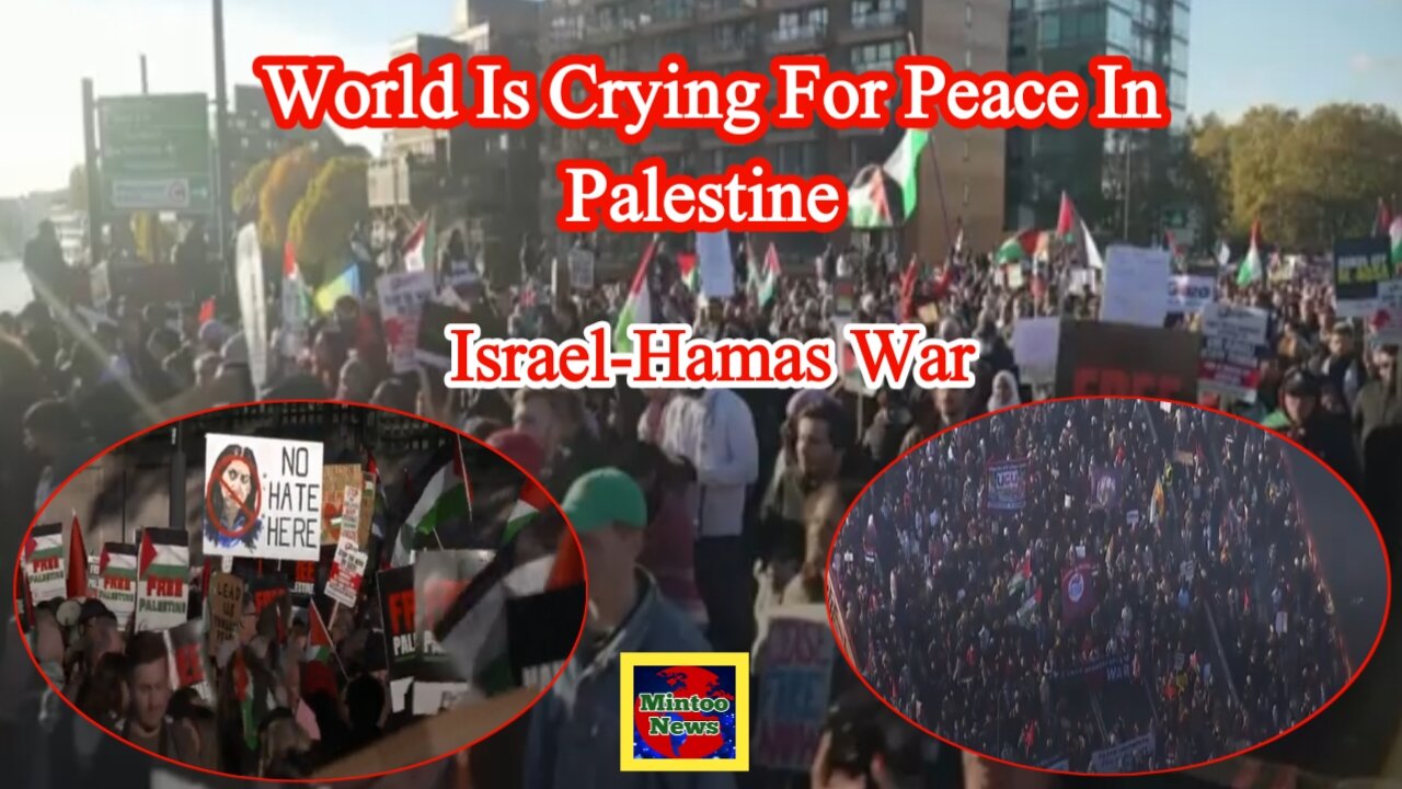 Pro-Gaza rallies continue worldwide