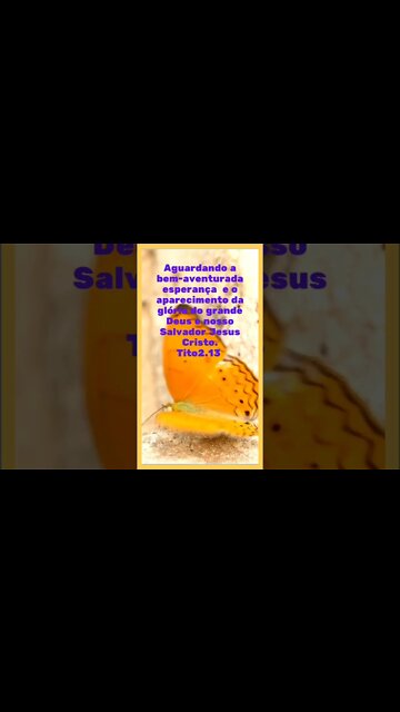 VERSÍCULO DO DIA O7/11/2022.#shorts