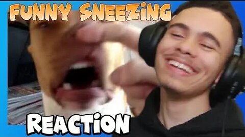 TRY NOT TO LAUGH AT PETS & ANIMALS SNEEZING