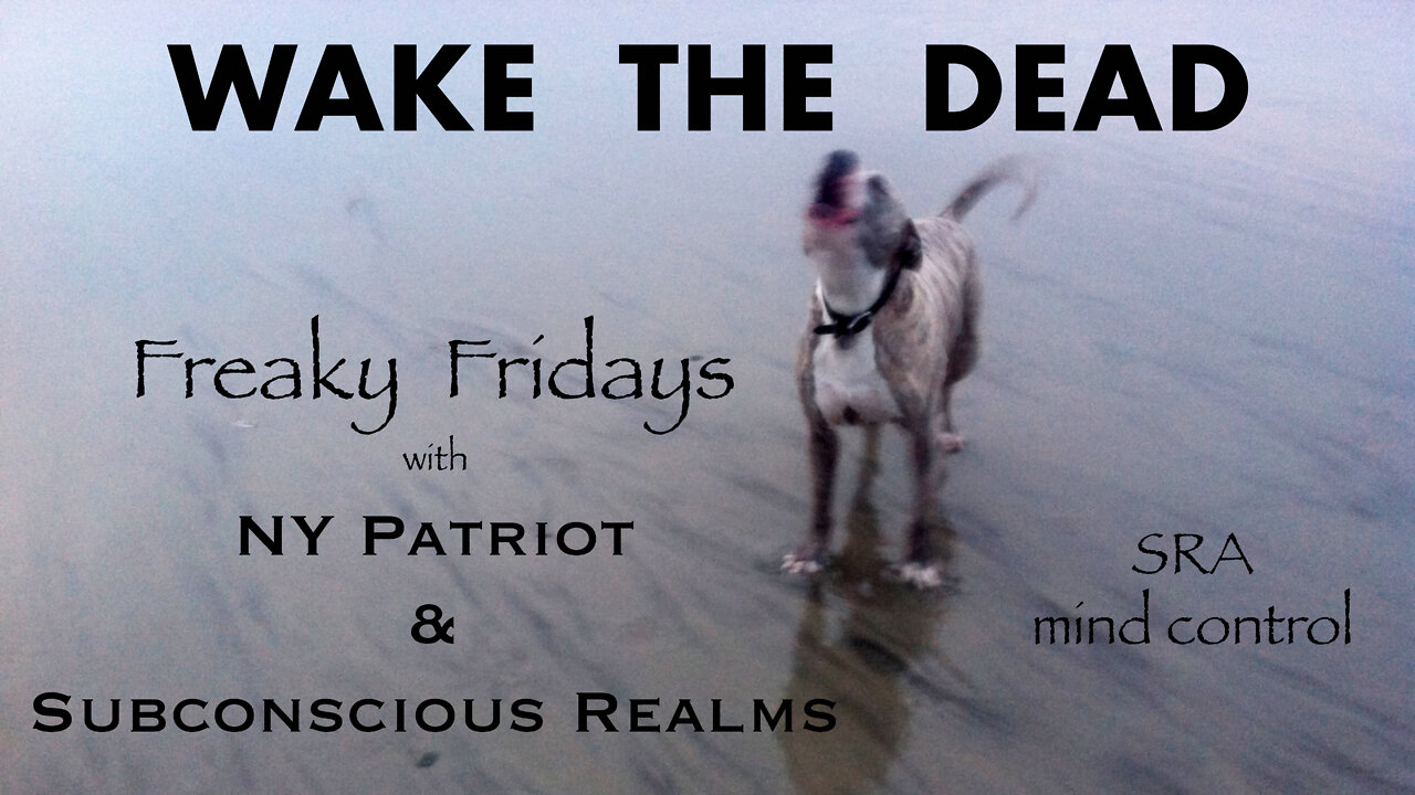 WTD on Freaky Fridays podcast w/ NY Patriot & General Lee